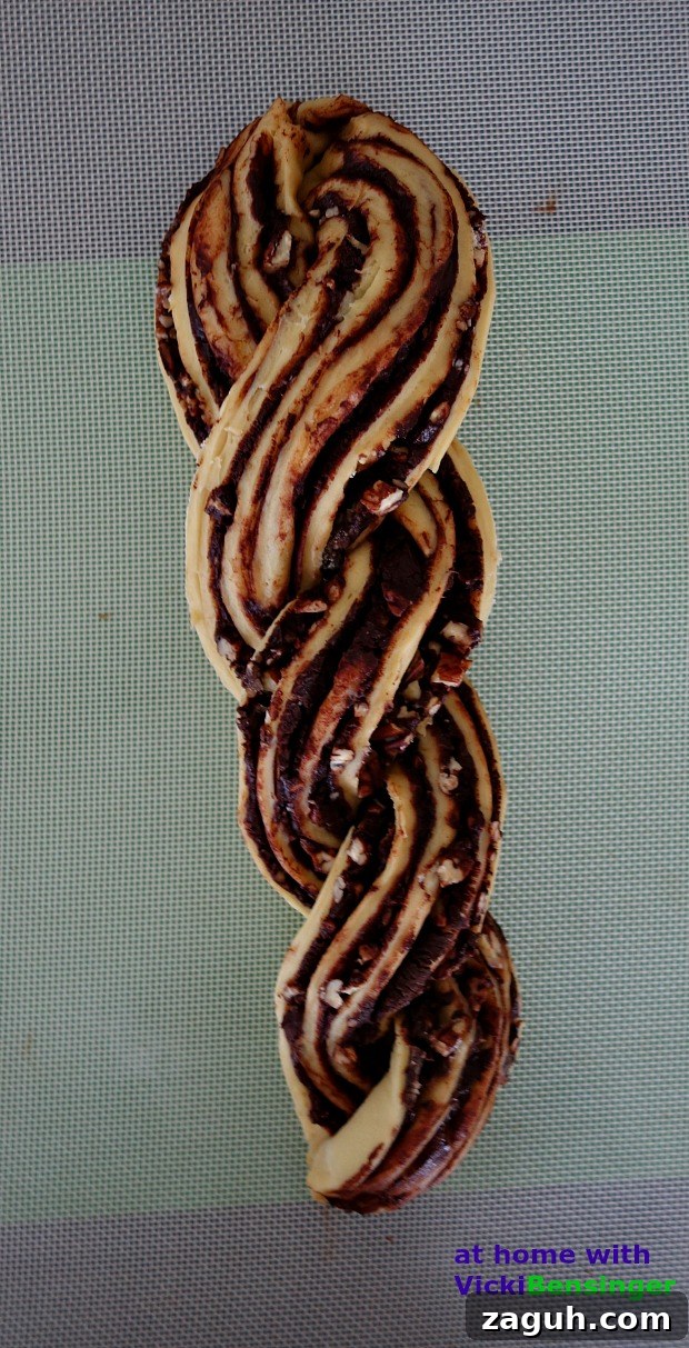 Chocolate Babka (Krantz Cake): Classic Chocolate Swirl Recipe 12 Chocolate Babka 9