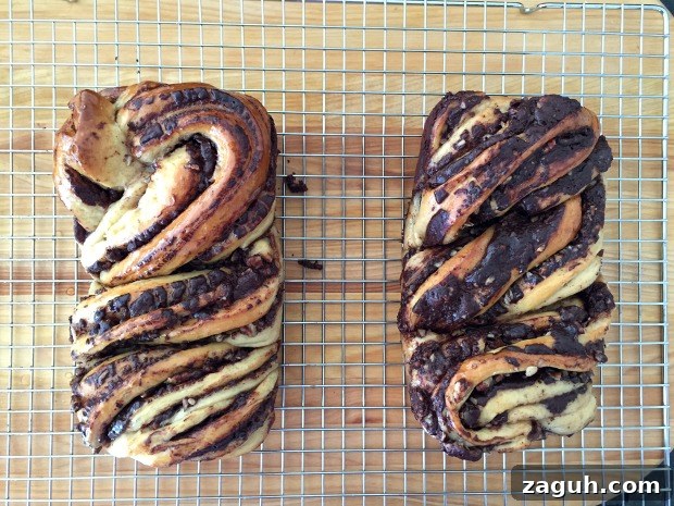 Chocolate Babka (Krantz Cake): Classic Chocolate Swirl Recipe 15 Chocolate Babka doubles 1
