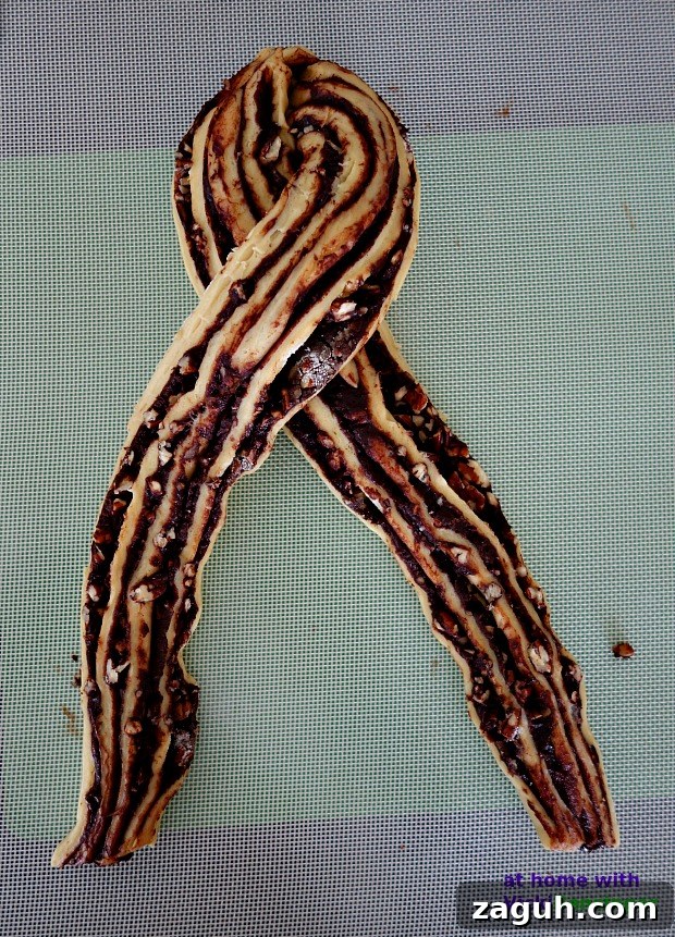 Chocolate Babka (Krantz Cake): Classic Chocolate Swirl Recipe 10 Chocolate Babka 7
