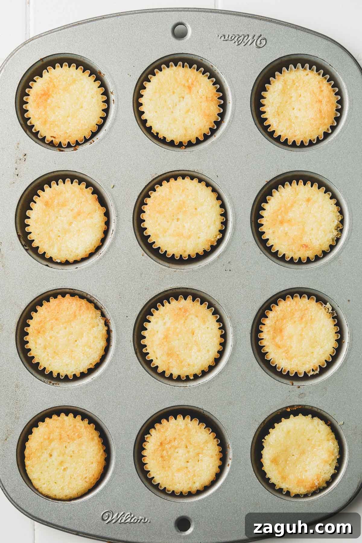 Vanilla Mini Cupcakes: Bite-Sized Sweet Treats You’ll Love 9 moule à muffins avec mini cupcakes cuits