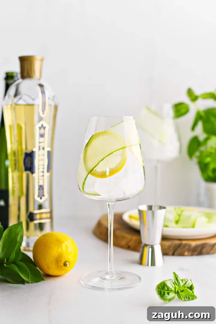 St-Germain Spritz Cocktail Recipe: How to Make a Bright French Spritz 7 step photo showing how to add a fresh lemon slice garnish to a elderflower spritz recipe
