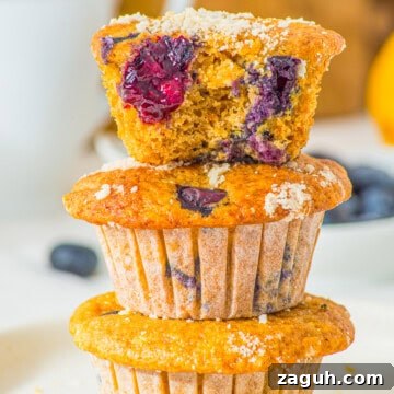 Gluten free blueberry cottage cheese muffins with streusel topping on a plate.