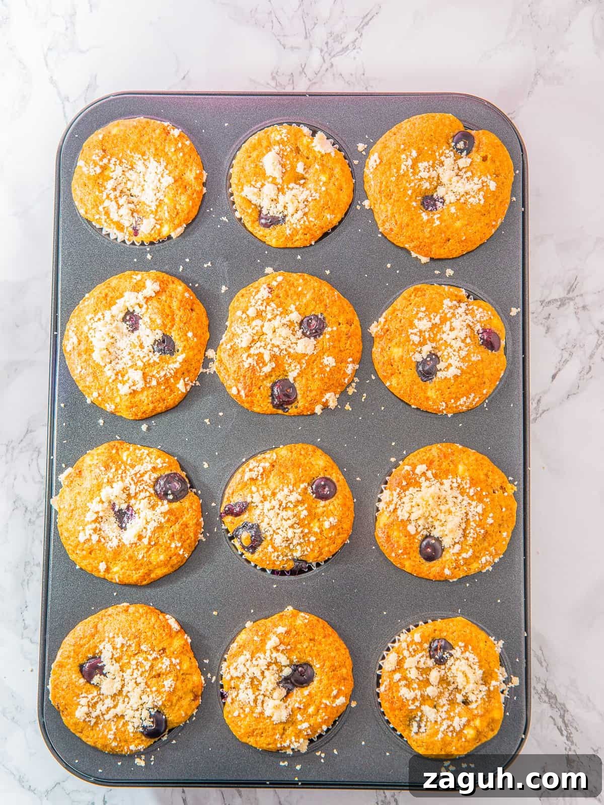 Golden baked Cottage Cheese Blueberry Muffins in the tin.