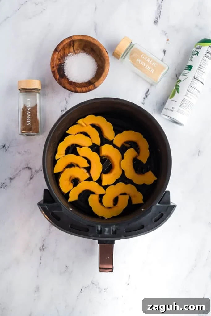 Sliced delicata squash and ingredients around an air fryer.