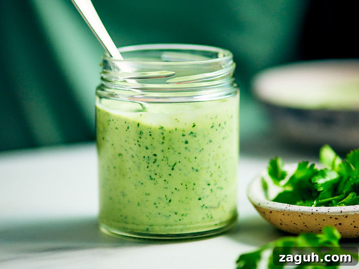 3-Minute Cilantro Yogurt Sauce Recipe for Tacos & Grills 3 Cilantro Yogurt Sauce with Greek yogurt in a glass jar on a counter.