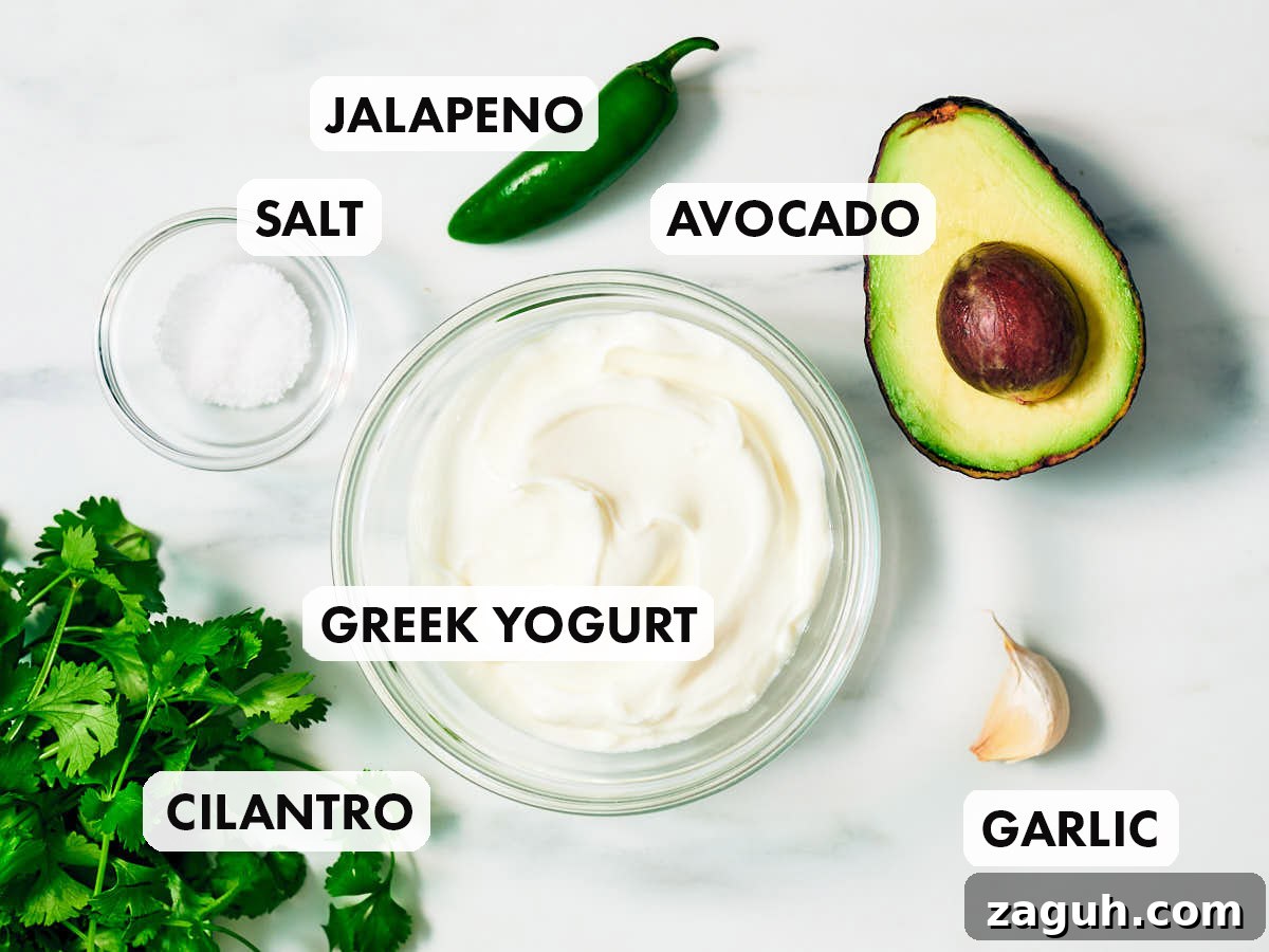3-Minute Cilantro Yogurt Sauce Recipe for Tacos & Grills 5 Ingredients to make yogurt sauce recipe with cilantro, avocado, and jalapeno.