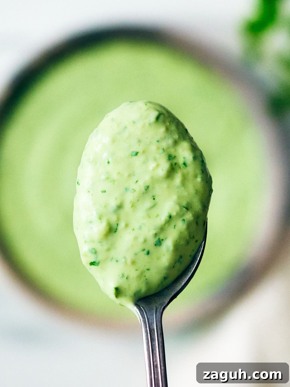 3-Minute Cilantro Yogurt Sauce Recipe for Tacos & Grills 10 Creamy Cilantro Yogurt Sauce made with Greek yogurt on a spoon.