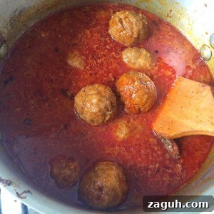 Authentic Pakistani Kofta Curry Recipes: Chicken, Lamb, Beef, Mutton 10 Traditional and Authentic Pakistani Chicken Kofta Curry