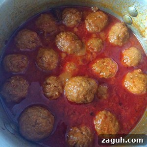 Authentic Pakistani Kofta Curry Recipes: Chicken, Lamb, Beef, Mutton 11 Traditional and Authentic Pakistani Chicken Kofta Curry
