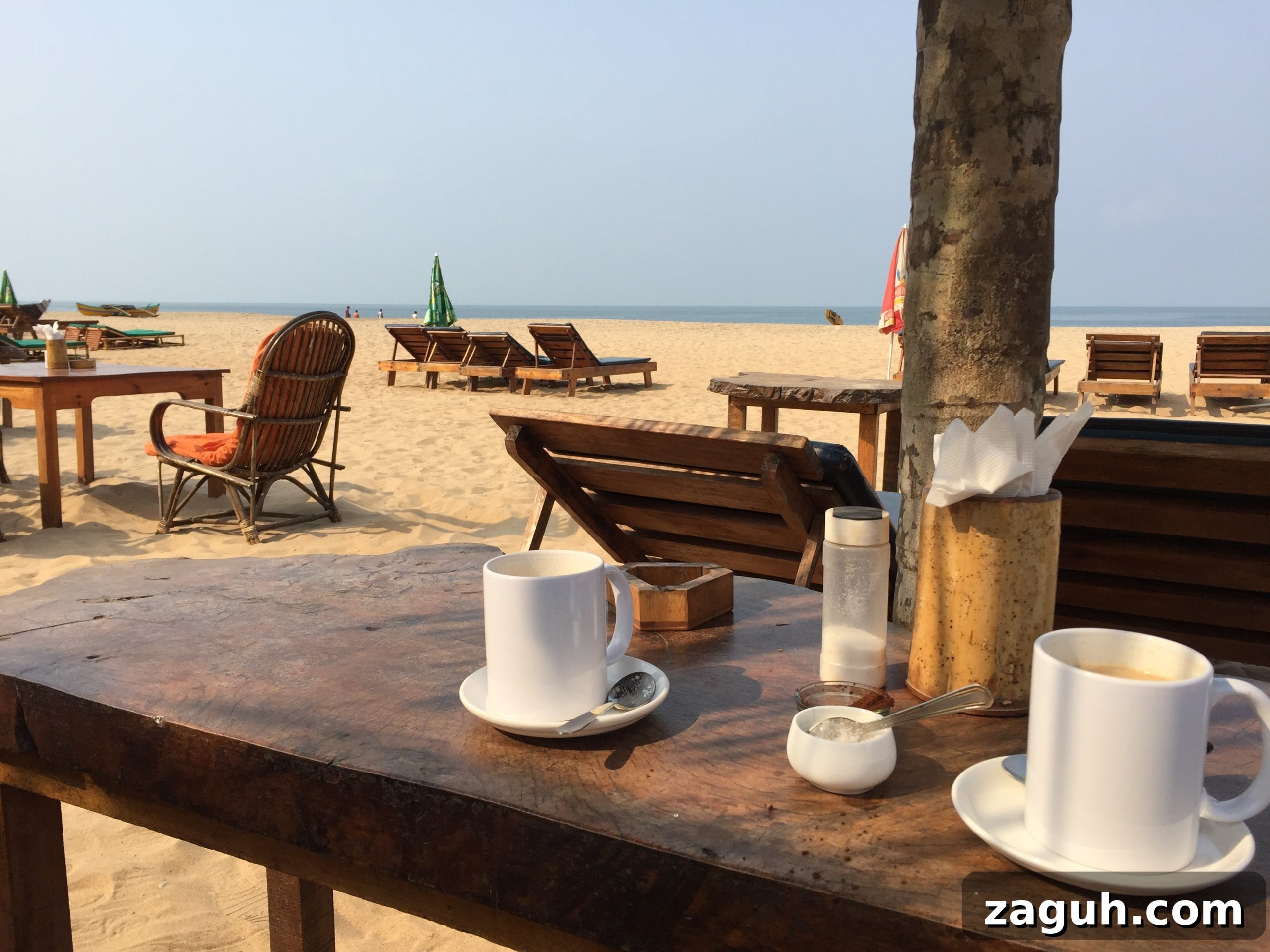 Patnem Beach Goa: A Tranquil Guide to Sun, Surf & Local Charm 2 Papayas Patnem 7