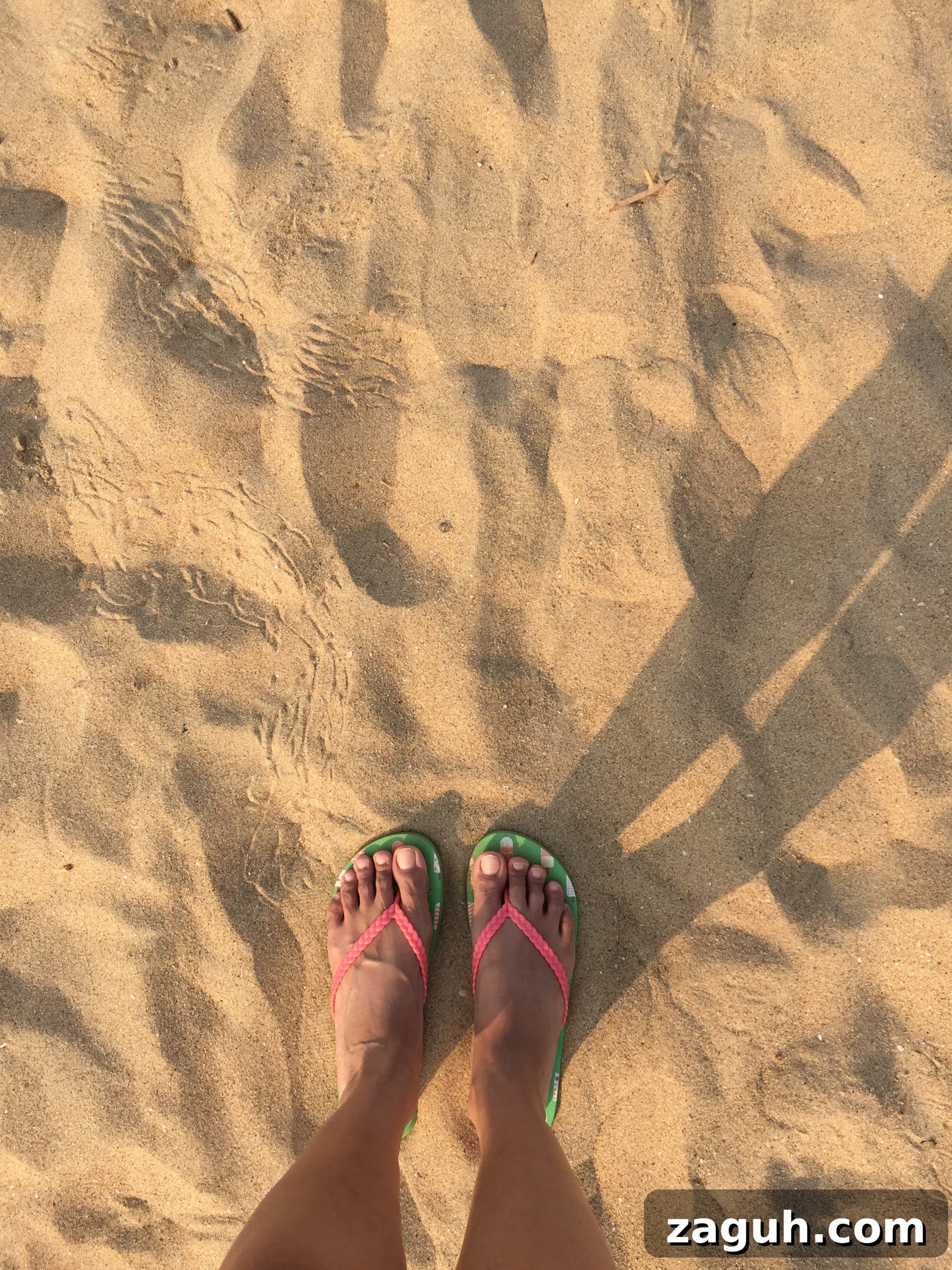 Patnem Beach Goa: A Tranquil Guide to Sun, Surf & Local Charm 3 Patnem