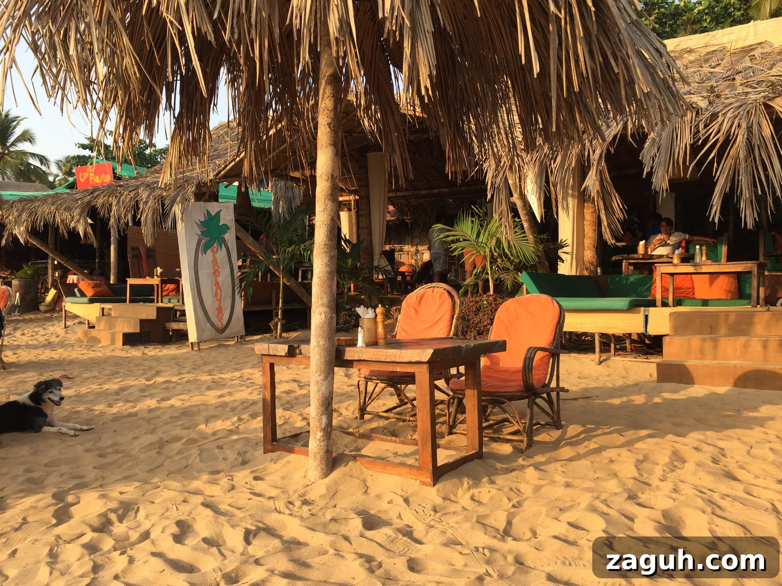 Patnem Beach Goa: A Tranquil Guide to Sun, Surf & Local Charm 4 Papapyas Patnem 5