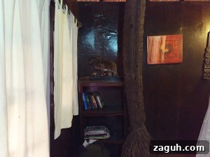 Patnem Beach Goa: A Tranquil Guide to Sun, Surf & Local Charm 6 Papayas Patnem 1