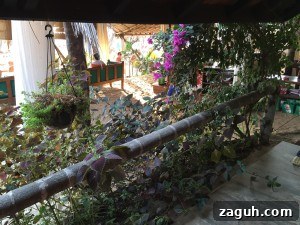 Patnem Beach Goa: A Tranquil Guide to Sun, Surf & Local Charm 8 Papayas Patnem 4