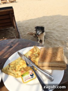 Patnem Beach Goa: A Tranquil Guide to Sun, Surf & Local Charm 9 Papayas Breakfast Patnem