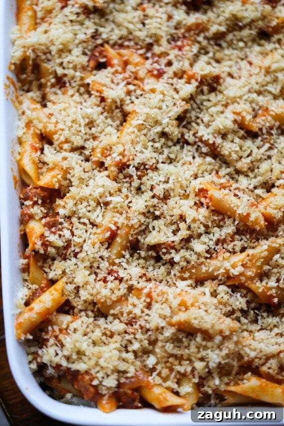 Creamy Baked Mostaccioli with Melted Cheese 11 Parmesan cheese and breadcrumbs are sprinkled over top of saucy mostaccioli pasta.