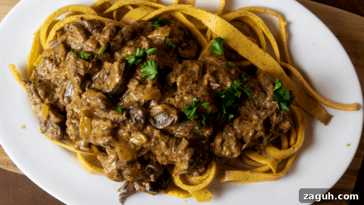 Beef Stroganoff over Noodles on White Platter