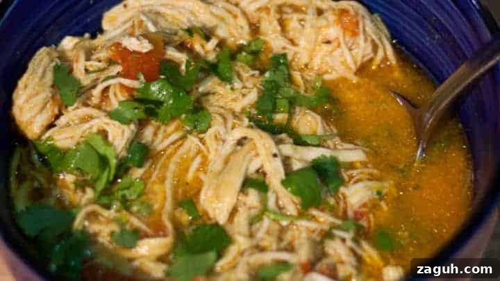Instant Pot Coconut Curry Chicken Soup