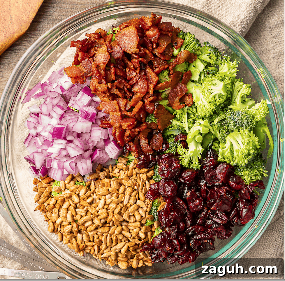 Crunchy Broccoli Salad with Bacon and Creamy Parmesan Dressing 3 ingredients for broccoli salad