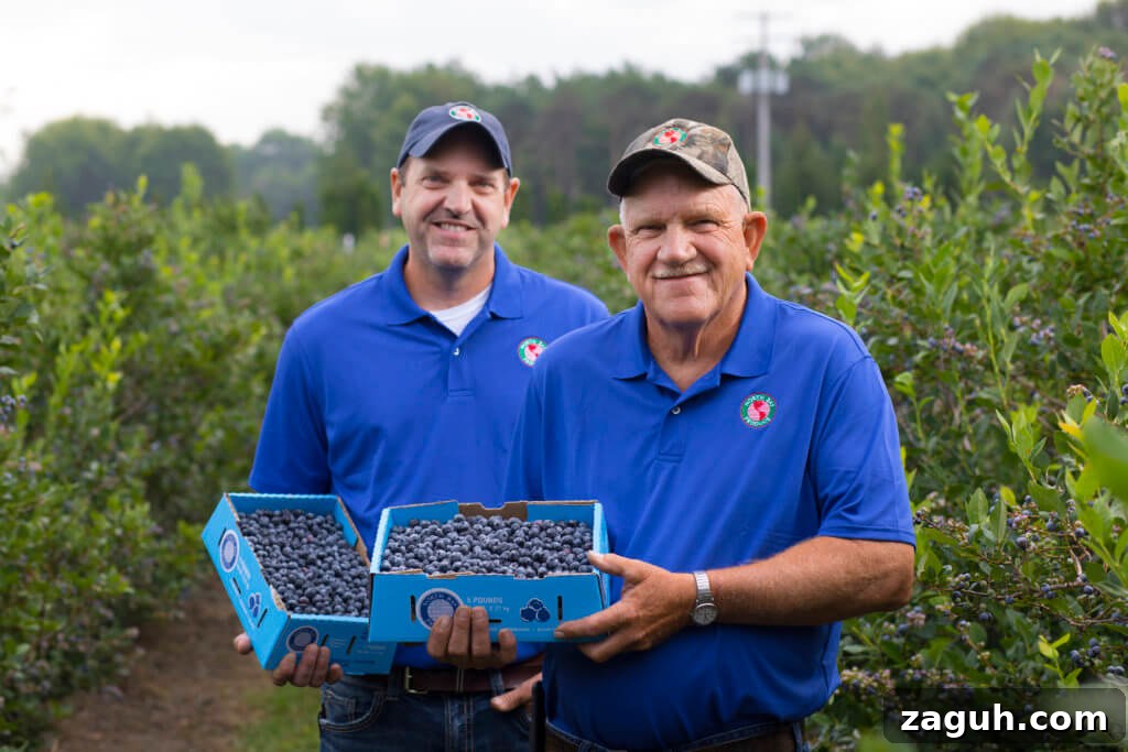 Michigan Blueberries: North Bay Produce Farm Tours & Picking Guide 4 Lakeside Pic-n-Pac