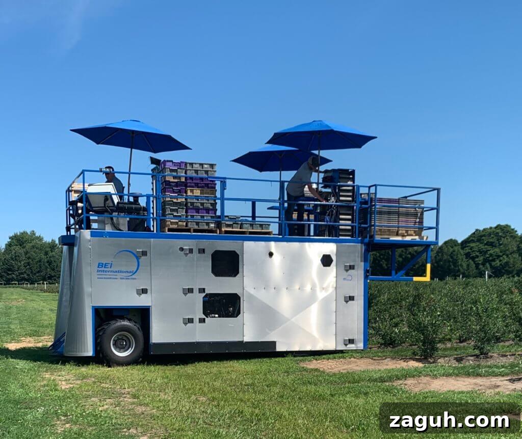 Michigan blueberry farms - Lakeside Pic-n-Pac Lakeside Pic-n-Pac Harvester