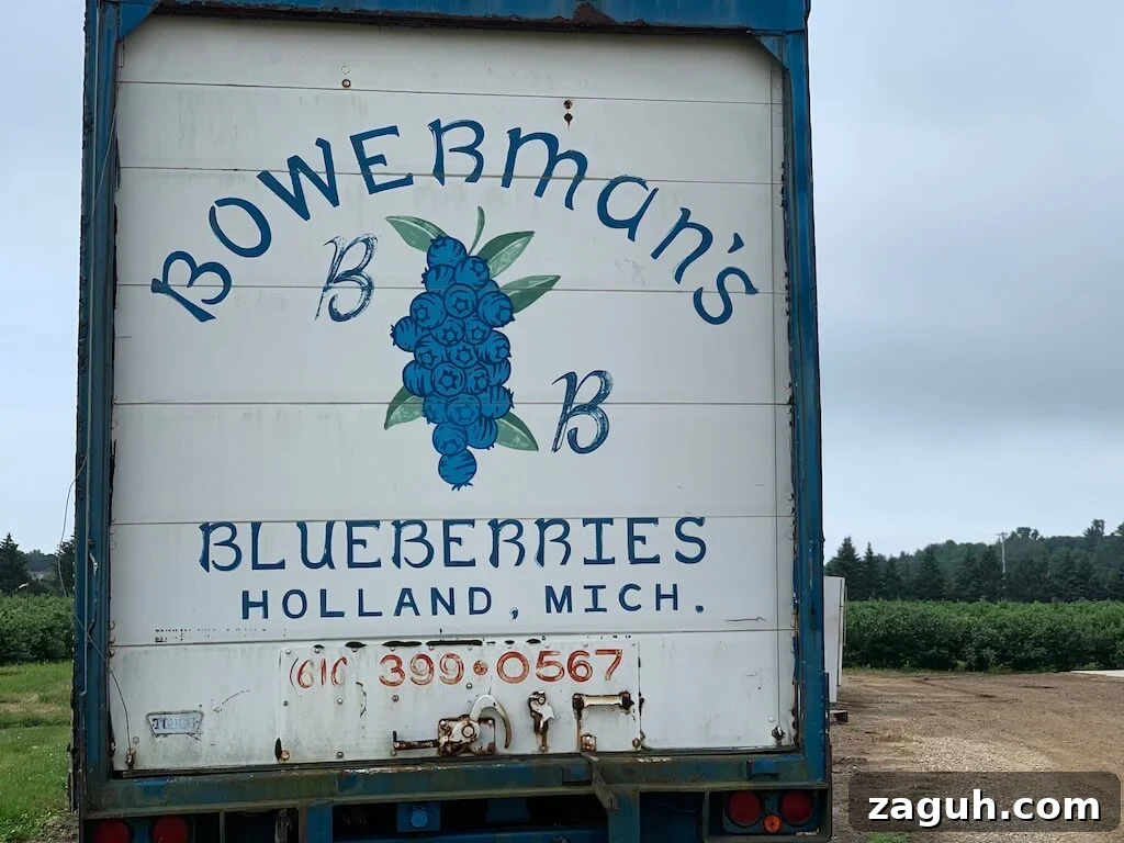 Michigan blueberry farms - Bowerman's North Bay Produce Blueberry Farms Tour
