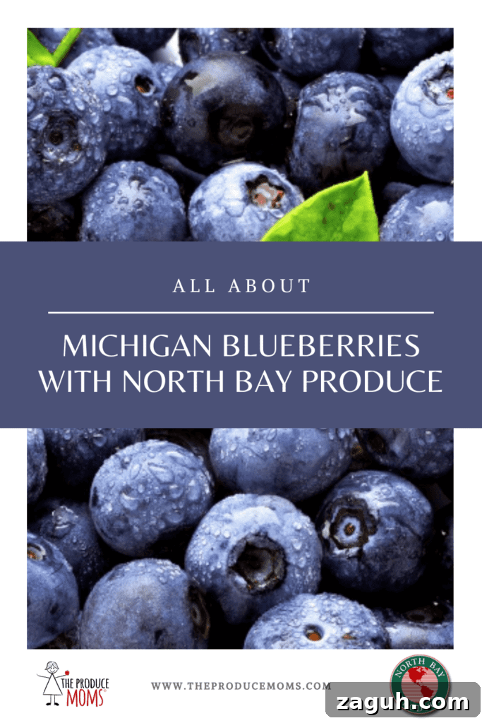 Michigan blueberry farms img 80985 9