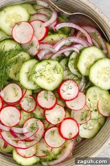 Cucumber radish salad in a serving bowl with red onion and sprigs of fresh dill.