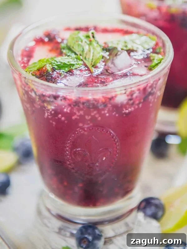 Crisp Red Wine Spritzer Recipe: Refreshing Summer Cocktail 5 Blueberry Mojito