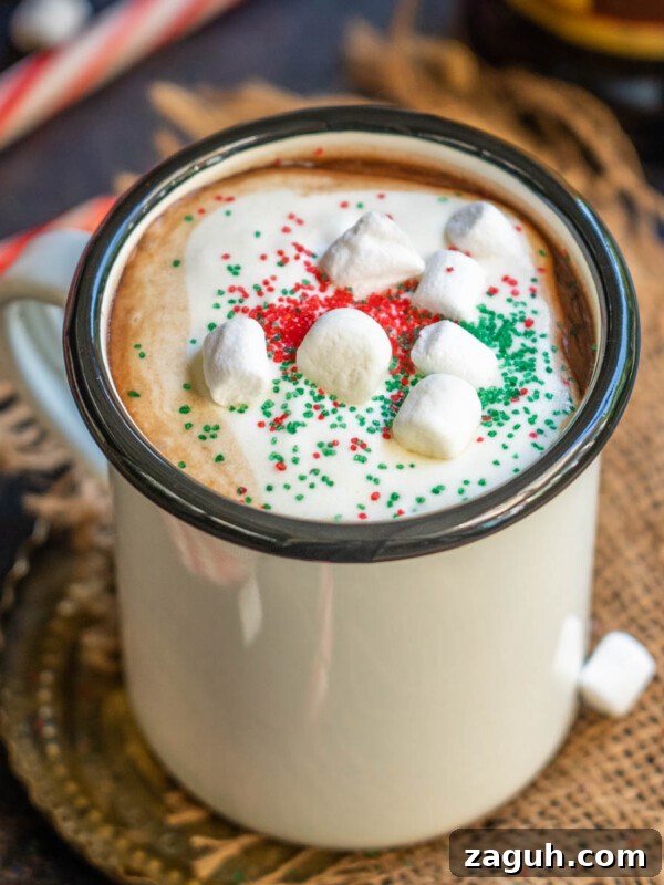 Crisp Red Wine Spritzer Recipe: Refreshing Summer Cocktail 8 Kahlua hot chocolate served in a mug.