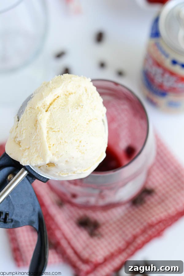 Cherry Vanilla Float Recipe: Classic Creamy Soda Float Guide 3 float recipe