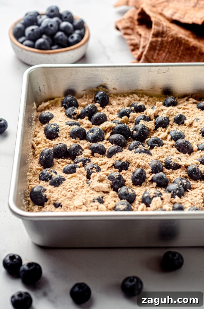 Moist Blueberry Sour Cream Coffee Cake Recipe 16 Blueberry sour cream coffee cake in a baking pan ready to bake.