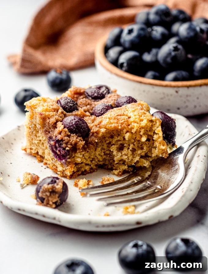 Moist Blueberry Sour Cream Coffee Cake Recipe 19 A slice of blueberry sour cream coffee cake on a plate with a fork.