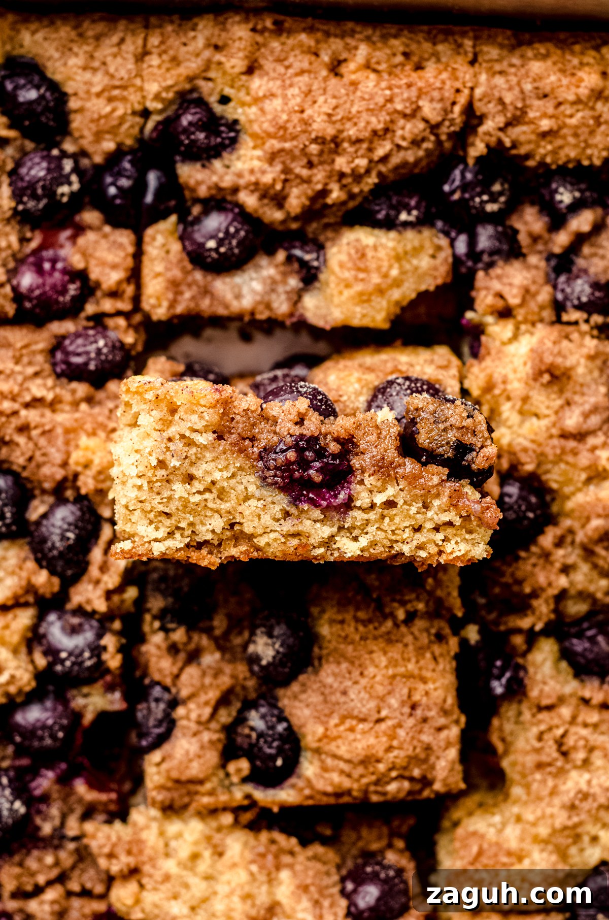 Moist Blueberry Sour Cream Coffee Cake Recipe 3 Sliced blueberry sour cream coffee cake. One slice is tilted up so you can see the inside of the slice.