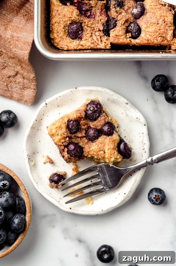 Moist Blueberry Sour Cream Coffee Cake Recipe 21 Aerial photo of a slice of blueberry sour cream coffee cake on a plate with a fork.