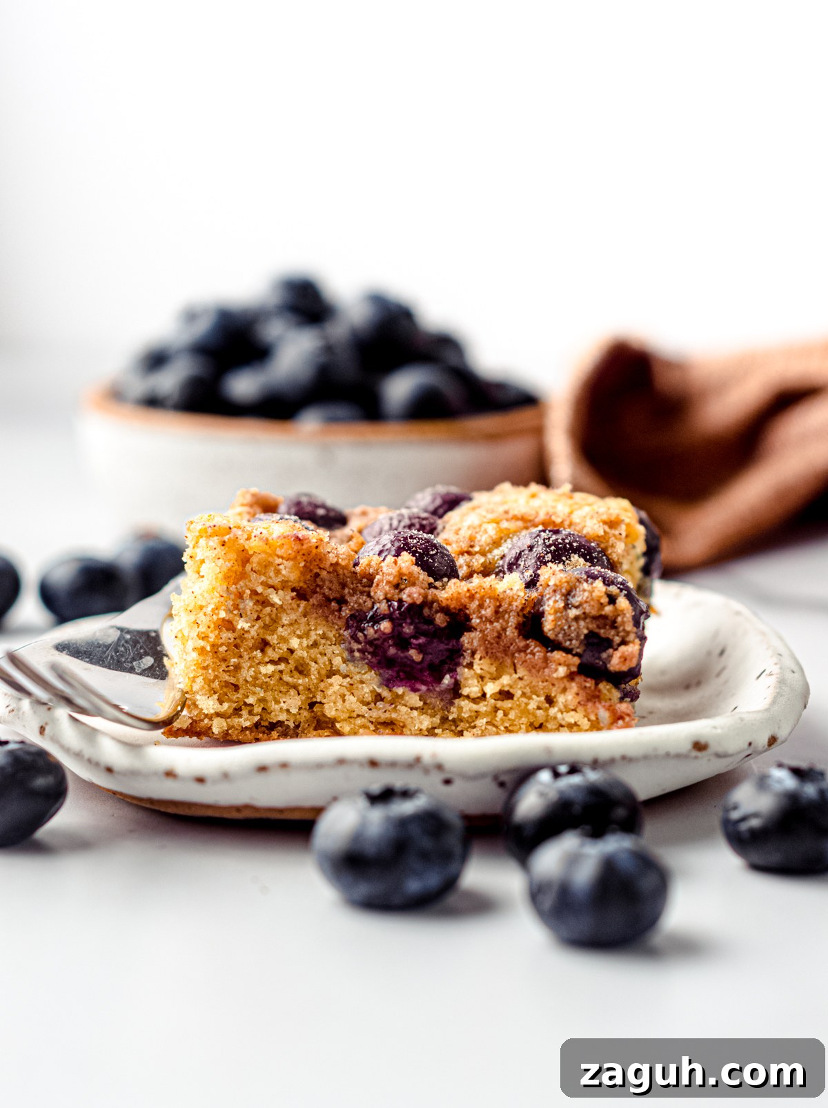 Moist Blueberry Sour Cream Coffee Cake Recipe 4 A slice of blueberry sour cream coffee cake on a plate with a fork.