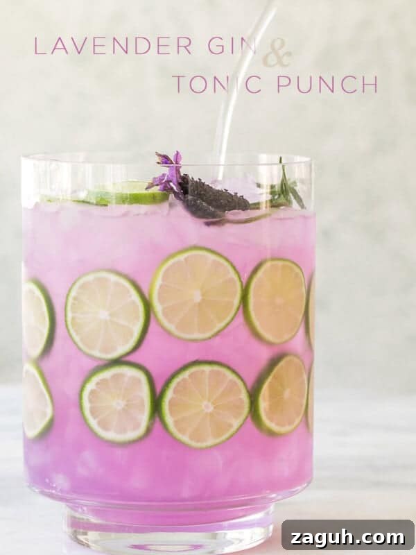 Sparkling Cherry Punch Recipe for Parties and Summer Gatherings 9 img 91848 8