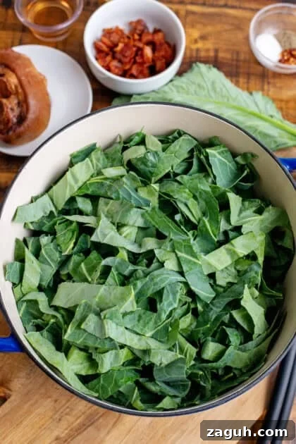 Authentic Southern Collard Greens Recipe That Melts in Your Mouth 11 Freshly chopped collard greens in a Dutch oven.