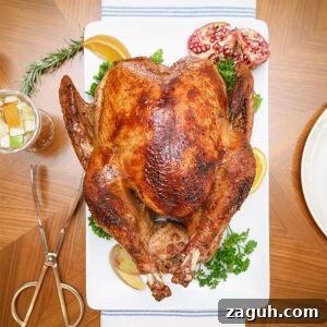 Weber Grills Holiday Recipes: Festive Ideas for Seasonal Cookouts 13 Black Folks Southern Turkey Recipe