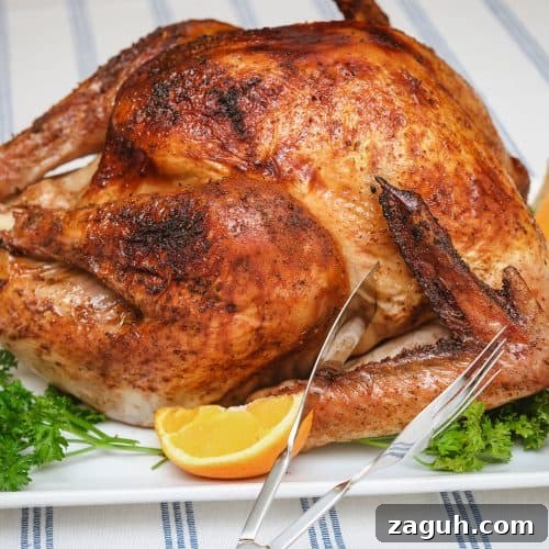Weber Grills Holiday Recipes: Festive Ideas for Seasonal Cookouts 4 Apple Cider Turkey Brine