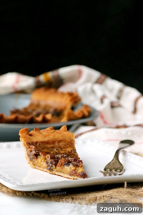 Decadent Butter Tart Pie Recipe: Classic Canadian Dessert 2 img 9728 1