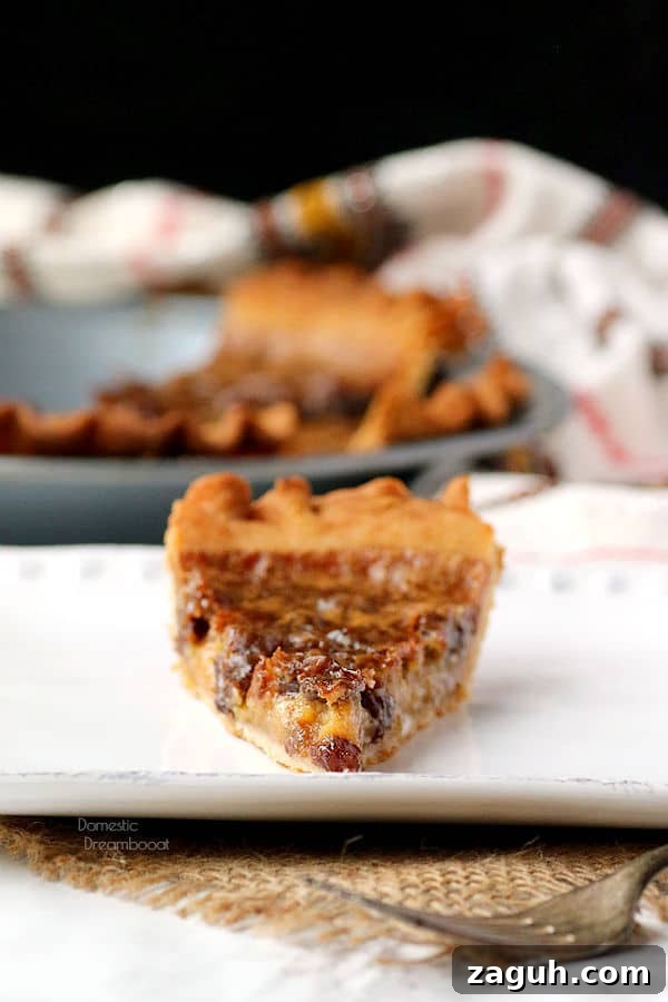 Decadent Butter Tart Pie Recipe: Classic Canadian Dessert 3 img 9728 2