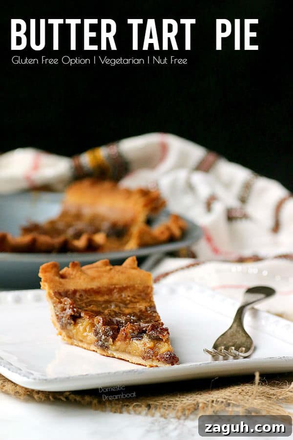 Decadent Butter Tart Pie Recipe: Classic Canadian Dessert 7 img 9728 9