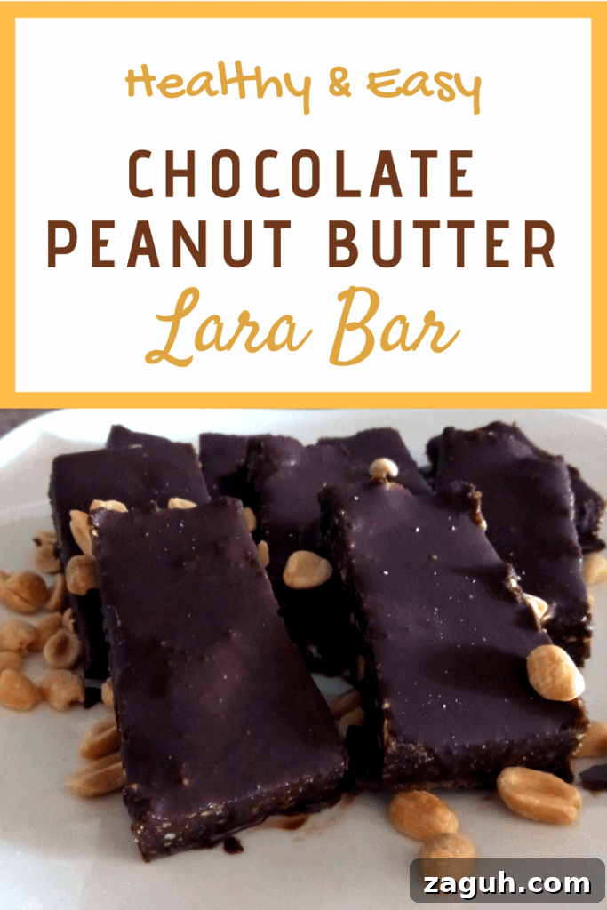 Homemade Chocolate peanut butter lara bars homemade lara bars