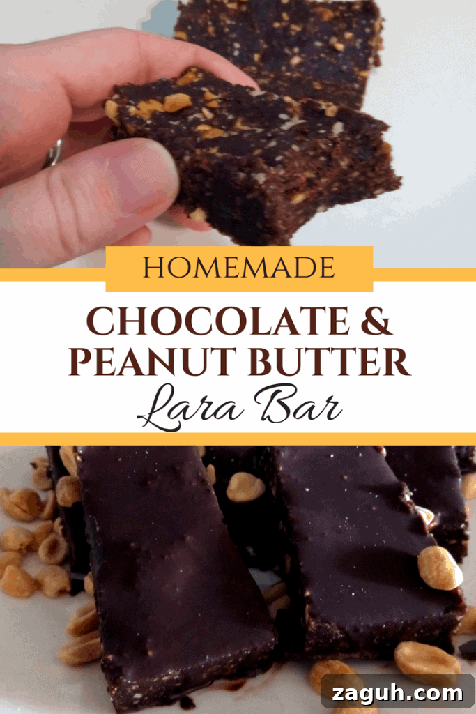the easiest chocolate peanut butter lara bar! Homemade lara bar. Delicious, healthy, easy snack